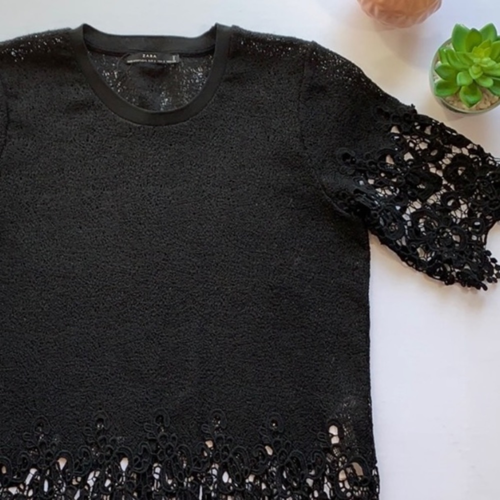 Zara • Embroidered Knit Top